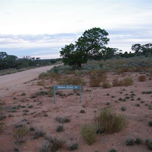 Mallee Drive Direction Sign