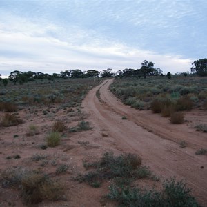 Mallee Drive Direction Sign