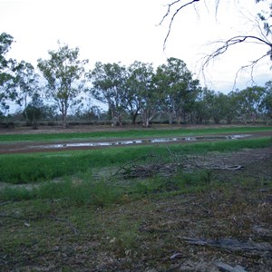 Parking Area and Stop 2 Mallee Drive