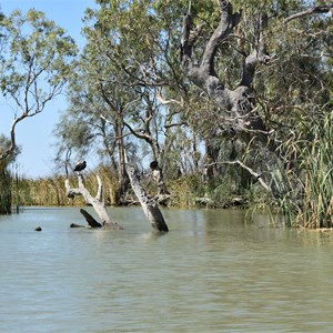 Nelbuck Creek Entrance - Ral Ral Creek