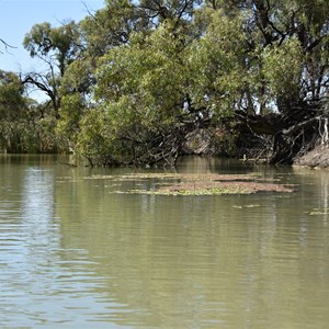 Nelbuck Creek 