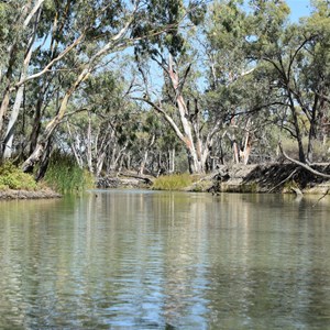 Nelbuck Creek 