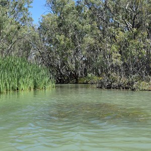 Nelbuck Creek Entrance - Murray River