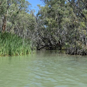 Nulbuck Creek Entrance - Murray River