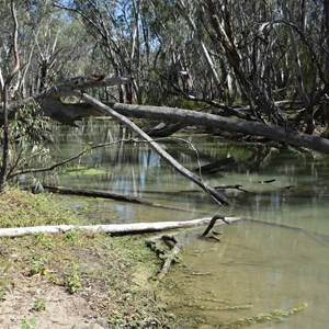 Nelbuck Creek Entrance - Murray River