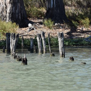 Woolenook Bend World War 11 Internment Camp