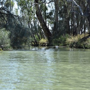 Bulyong Creek Entrance - Murray River