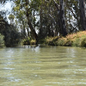 Bulyong Creek Entrance - Murray River