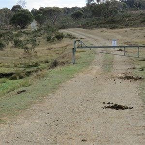 Manure mounds mark territory