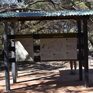 Lyrup Flats Information Bay