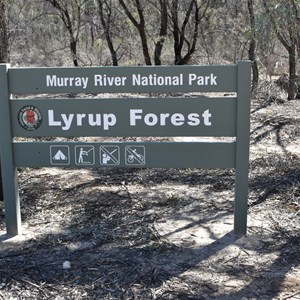Murray River National Park - Lyrup Forrest Boundary Sign