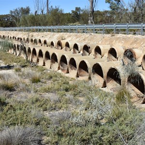 Gurra Gurra Wetlands Tortoise Crossing