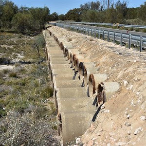 Gurra Gurra Wetlands Tortoise Crossing