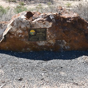 Gurra Gurra Wetlands Tortoise Crossing