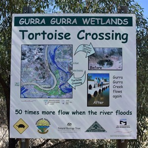 Gurra Gurra Wetlands Tortoise Crossing