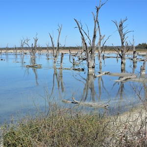 Cobdogla Swamp 