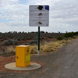 Quarantine Disposal Bin