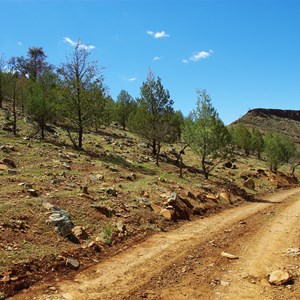 Reedy Creek Spring