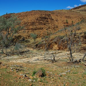 Reedy Creek Spring