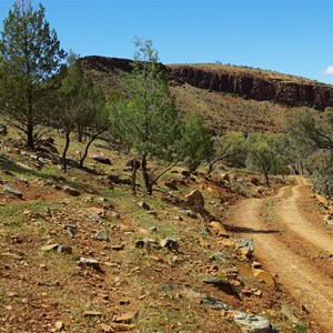 Reedy Creek Spring