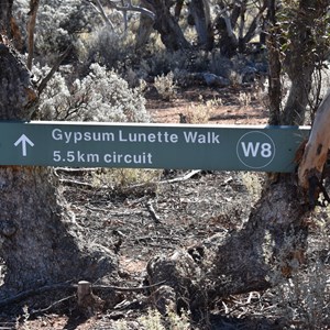 Gypsum Lunette Walk Carpark