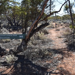 Gypsum Lunette Walk Carpark