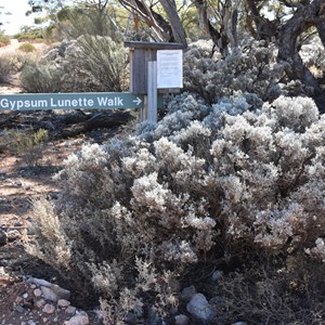 Gypsum Lunette Walk Carpark