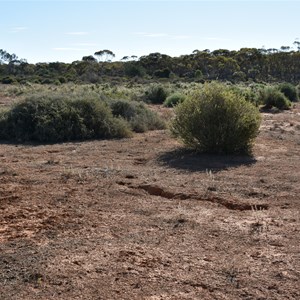 Bluebird Dam Site 
