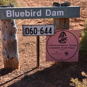 Bluebird Dam Site 