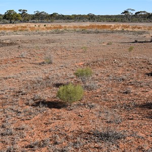 Old Gluepot Dam 