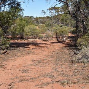 Sittella Campsite