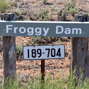 Froggy Tank and Dam