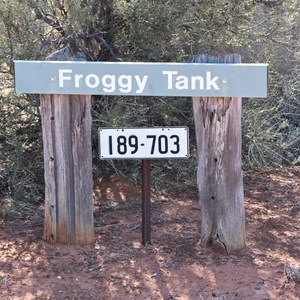 Froggy Tank and Dam