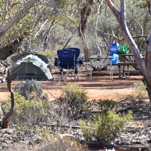Bellbird Campsite 