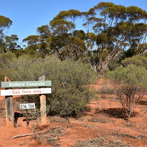 Bellbird Campsite 
