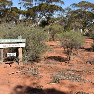 Bellbird Campsite 