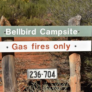 Bellbird Campsite 