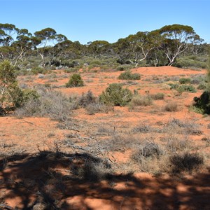 Picnic Dam
