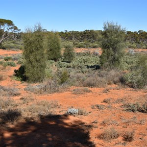 Picnic Dam