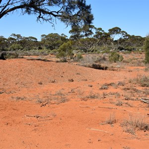 Picnic Dam