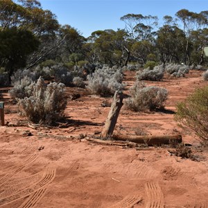Grasswren Tank & Bird Hide