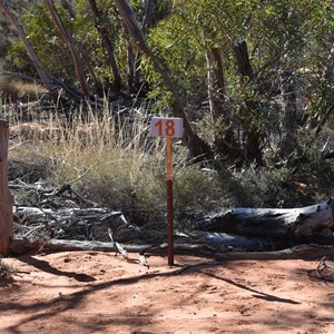 Babbler Campsite