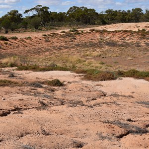 Canegrass Dam 