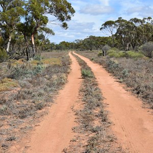 Canegrass Dam 