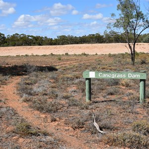 Canegrass Dam 