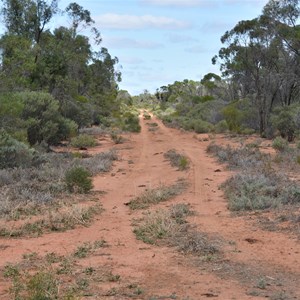 Jacks Dam 