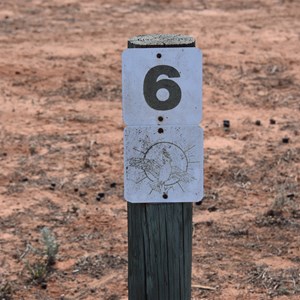 Stop 6 Nanya Pad Track - Toby Dam
