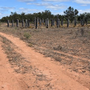 Stop 9 Nanya Pad Track - Mornington Cattle Yards and Dam