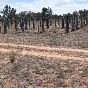 Stop 9 Nanya Pad Track - Mornington Cattle Yards and Dam
