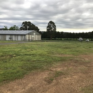 Armidale Showground